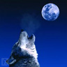 Lobo-Luna - JPEG, 96x96 pixels, 6.9 KB