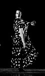 flamenco - JPEG, 90x150 pixels, 4.9 KB
