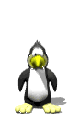 pingui - GIF, 80x120 pixels, 1.9 KB