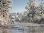 Finlandia - JPEG, 150x112 pixels, 7.2 KB