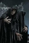 Dementor (2) - JPEG, 101x150 pixels, 4 KB