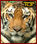 Tigre - GIF, 120x140 pixels, 16.5 KB