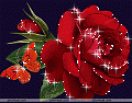rosa roja - GIF, 120x94 pixels, 9.1 KB