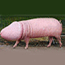 avatar por defecto avatar por defecto