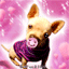 puppy - GIF, 64x64 pixels, 9.2 KB