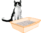 gato en el arenero - GIF, 141x113 pixels, 24.1 KB
