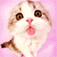 kitten - GIF, 64x64 pixels, 7.7 KB